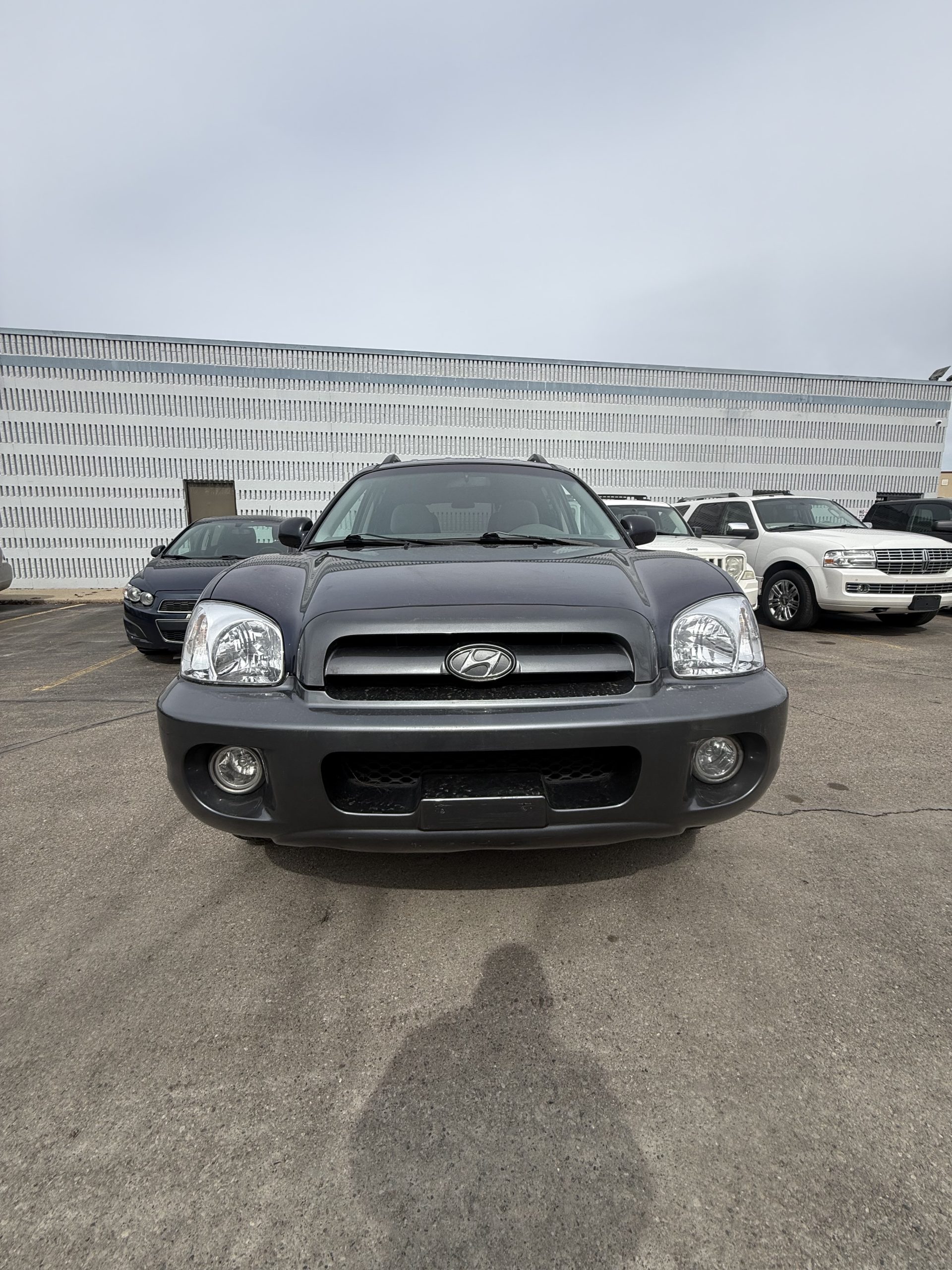 2005 Hyundai Santa Fe's photo